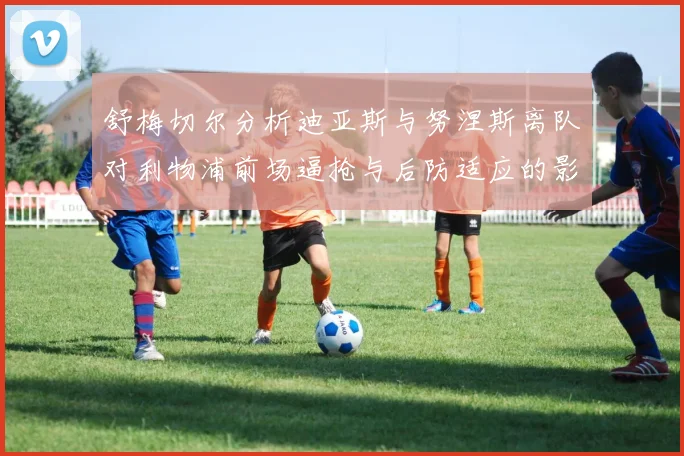 舒梅切尔分析迪亚斯与努涅斯离队对利物浦前场逼抢与后防适应的影响