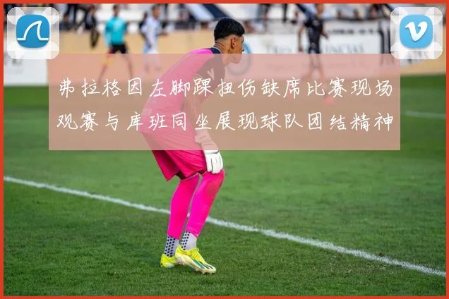 弗拉格因左脚踝扭伤缺席比赛现场观赛与库班同坐展现球队团结精神