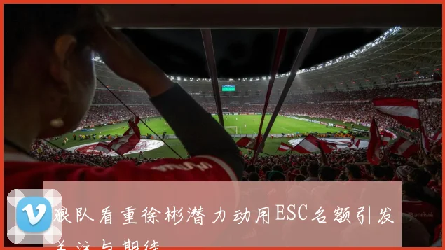 狼队看重徐彬潜力动用ESC名额引发关注与期待