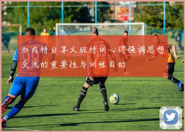 加内特分享文班特训心得强调思想交流的重要性与训练目的
