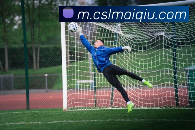 中超买球官网APP 高清赛事图